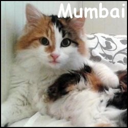 Mumbai