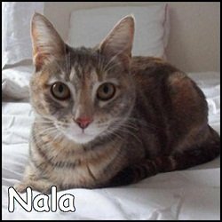 Nala