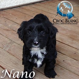 Nano