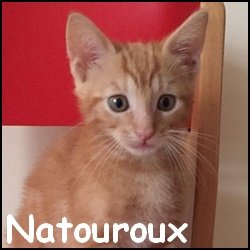 Natouroux