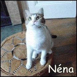 Néna