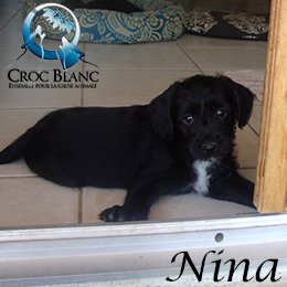 Nina