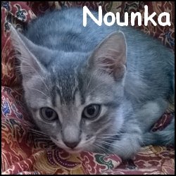 Nounka