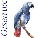 Oiseaux