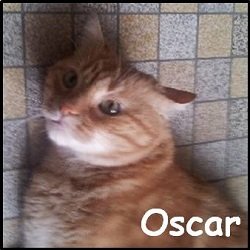 Oscar