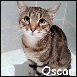 Oscar