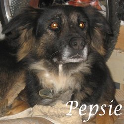 Pepsie