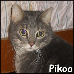 Pikoo