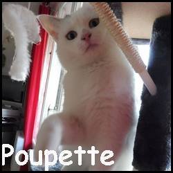 poupette