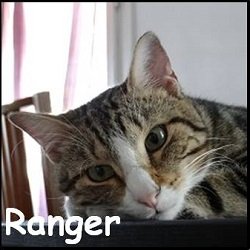 Ranger