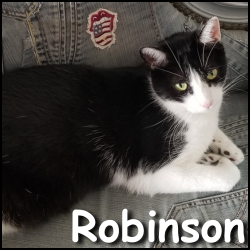 Robinson2