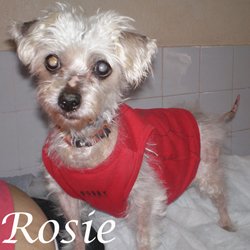 Rosie