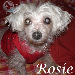 Rosie - fa def