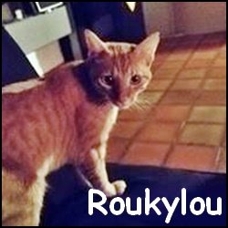 Roukylou