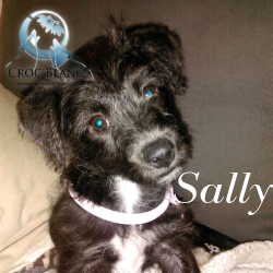 Sally