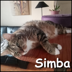 Simba