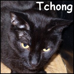 Tchong