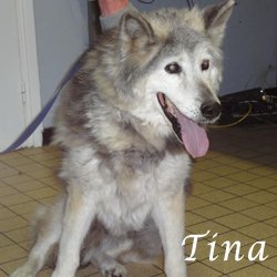 Tina