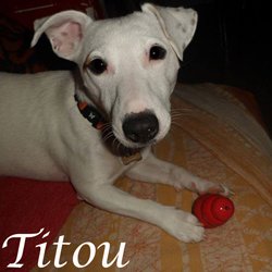 Titou