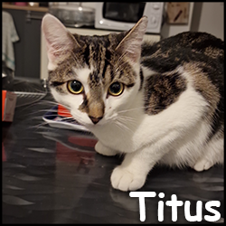 Titus2