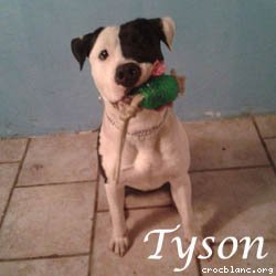 tyson