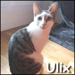 Ulix