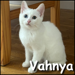 Vahnya