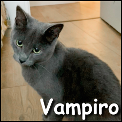 Vampiro