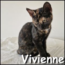 Vivienne