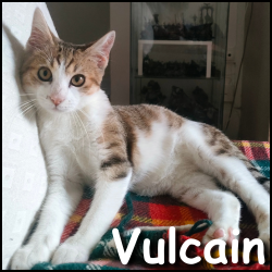 Vulcain