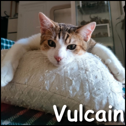 Vulcain bis