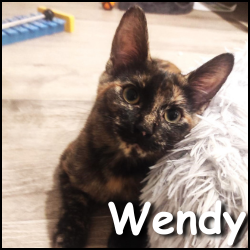 Wendy 2