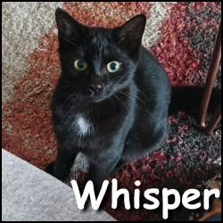 Whisper