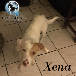 Xena