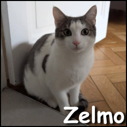 Zelmo2