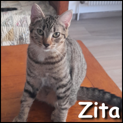 Zita 2