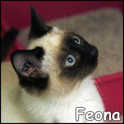 Feona