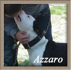 Azzaro