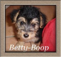 Betty Boop