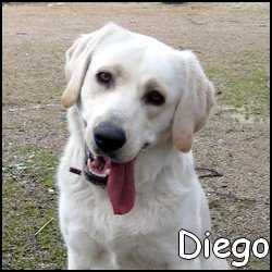 Diego