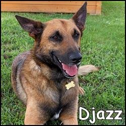 Djazz