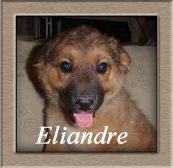 Eliandre