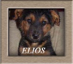 Elios