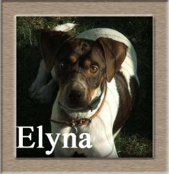 Elyna