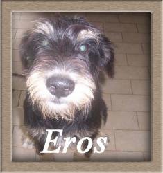 Eros