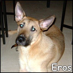 Eros