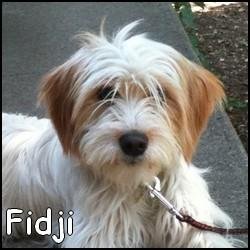 Fidji