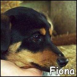 Fiona