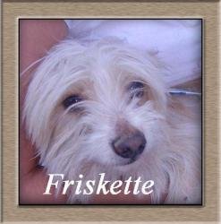 Friskette