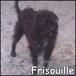 Frisouille